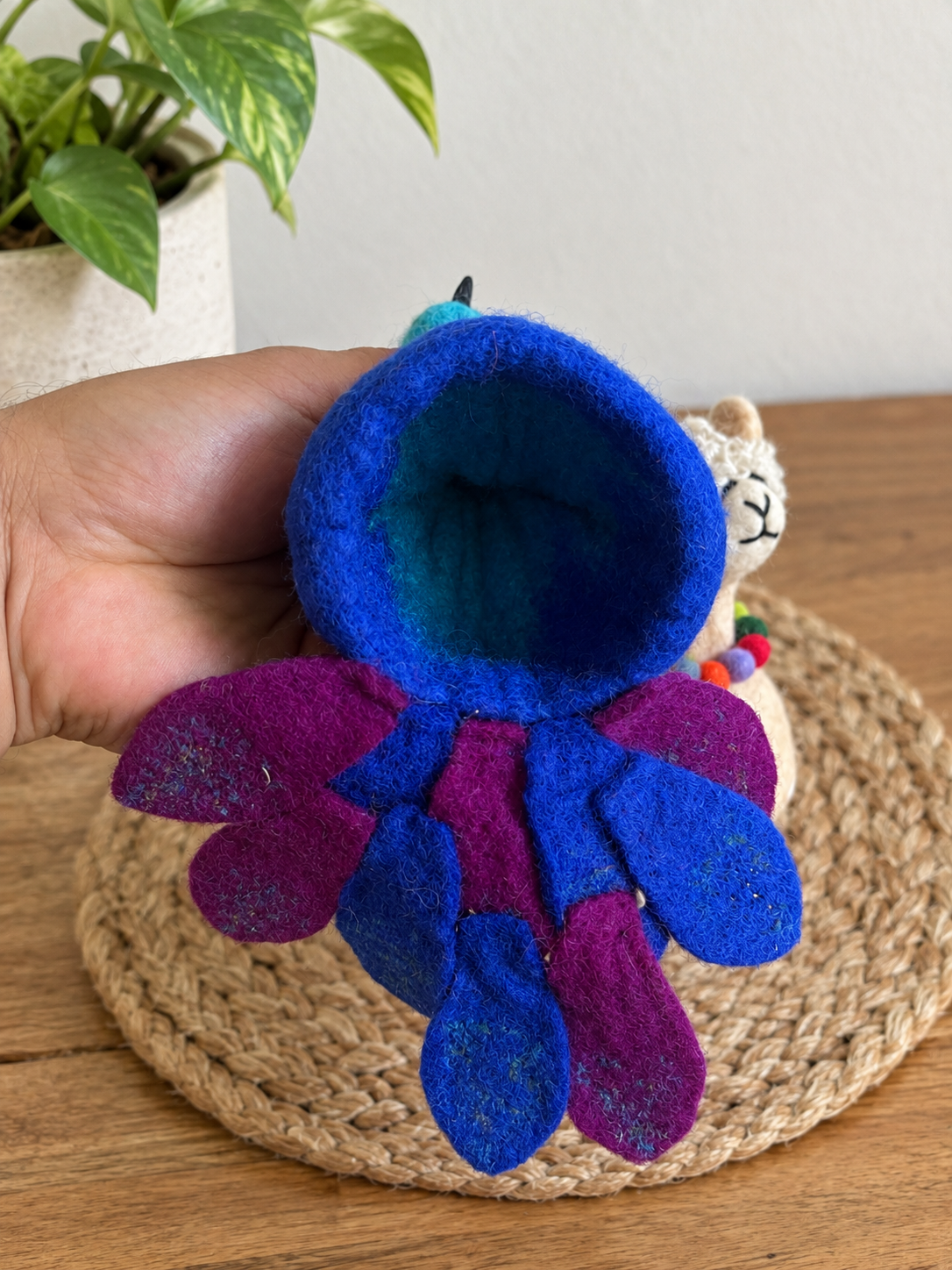 Decorative Felt Peacock & Llama Egg Warmers 🦄🦚