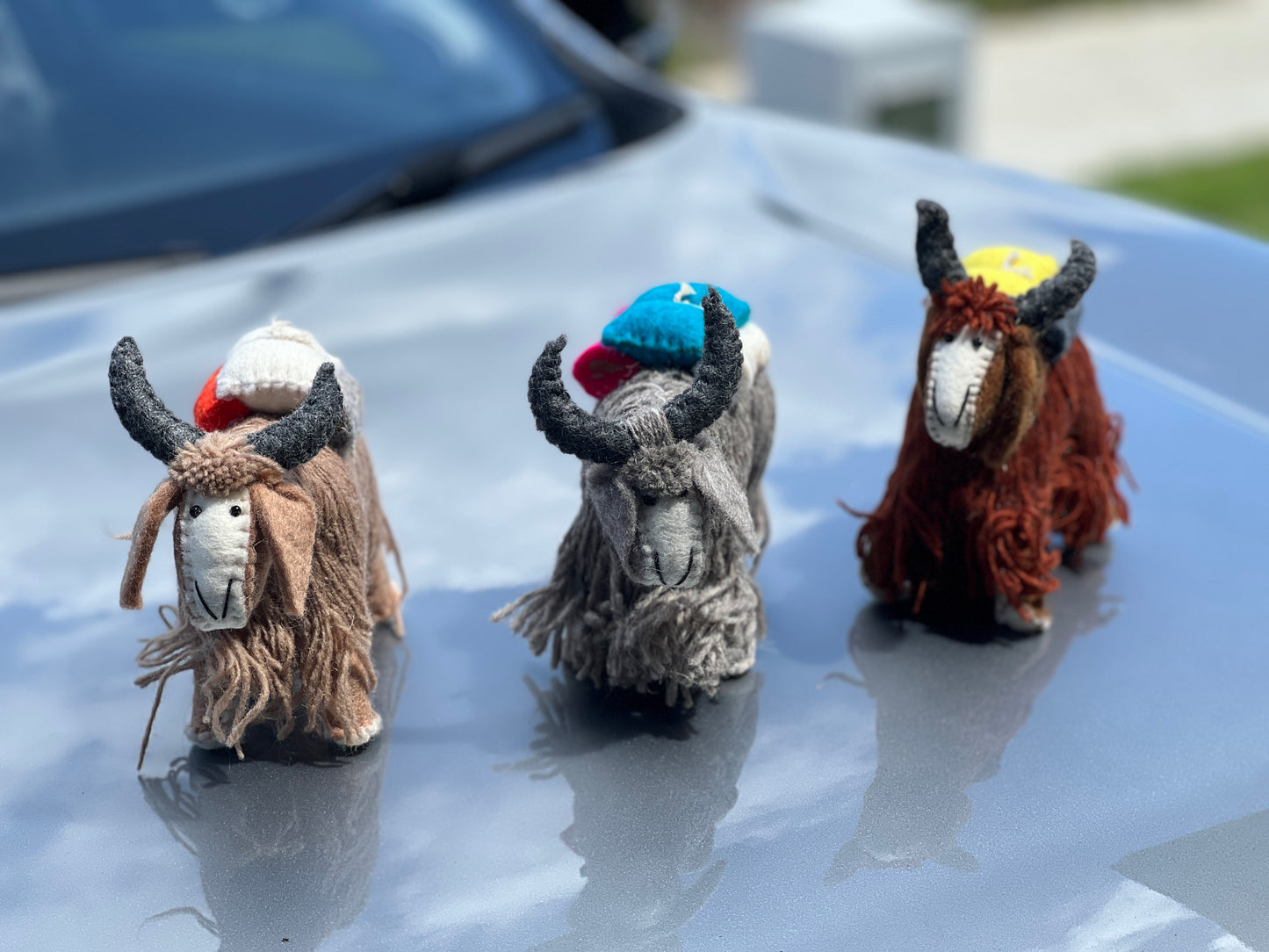 Felt Himalayan Yak